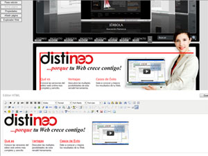 Edici&oacute;n online de p&aacute;gina Web - DISTINEO